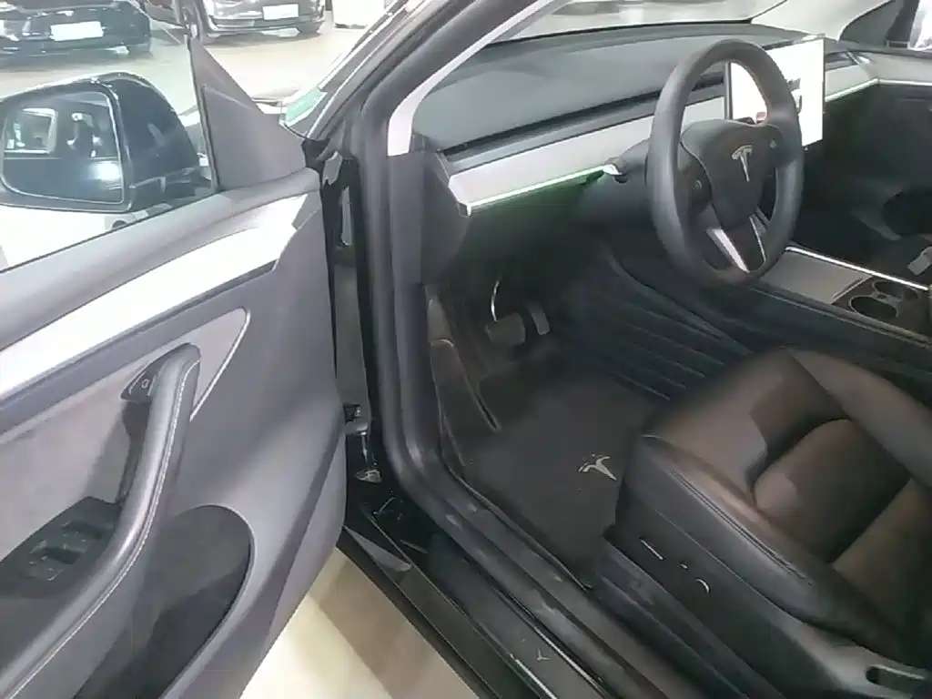 Tesla Model Y — миниатюра 16