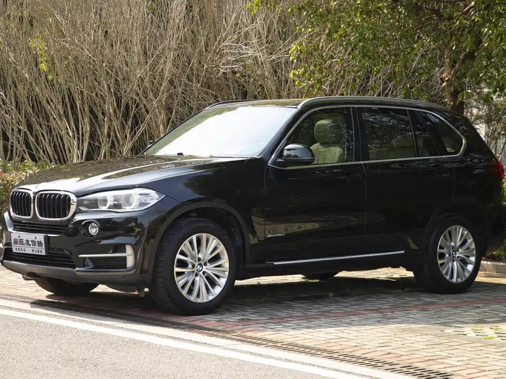 BMW X5 (Import) 2014