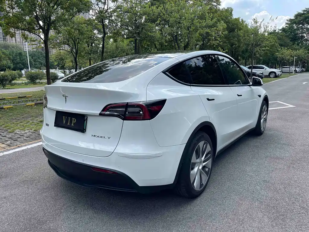 Tesla Model Y — миниатюра 6