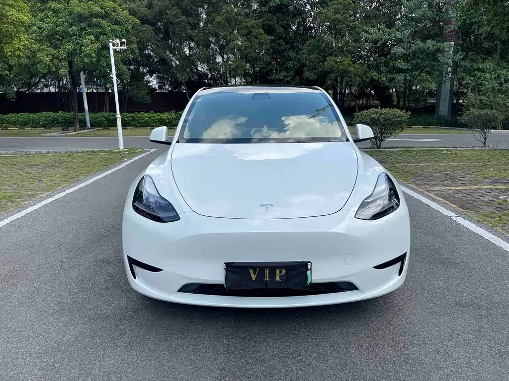 Tesla Model Y — миниатюра 2