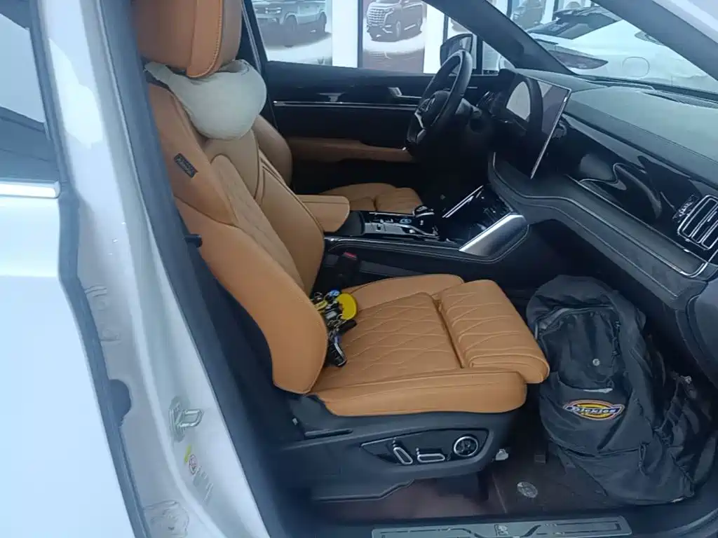 BYD Tang New Energy — миниатюра 25