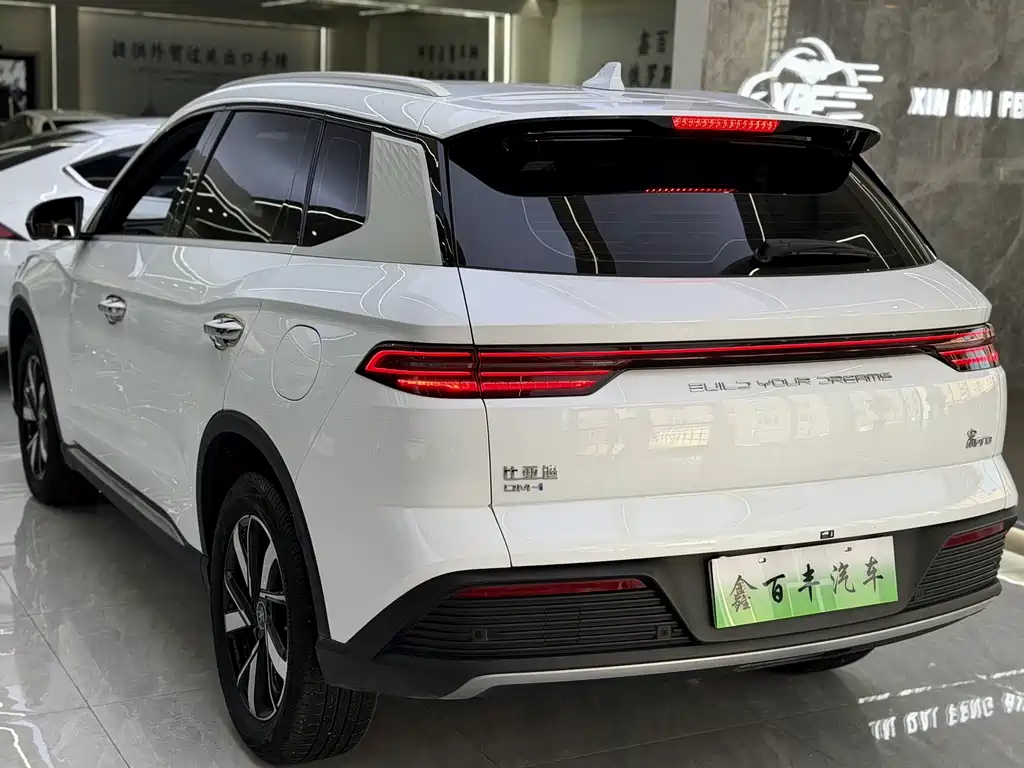 BYD Pro New Energy — миниатюра 7