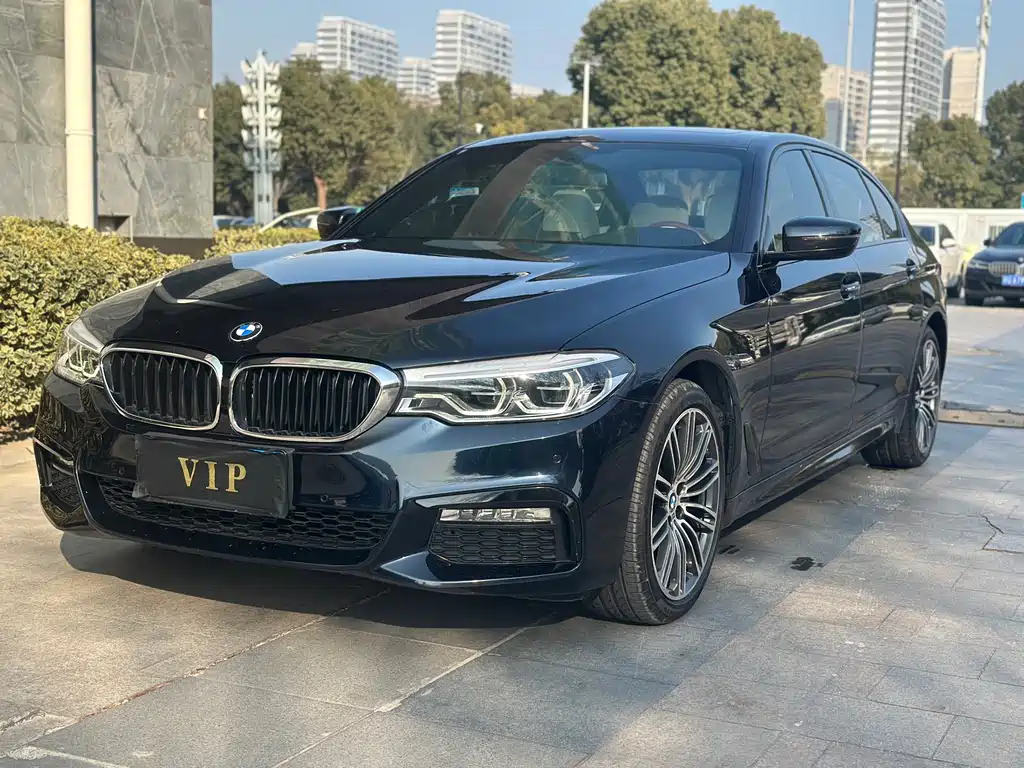 BMW 5 SERIES
