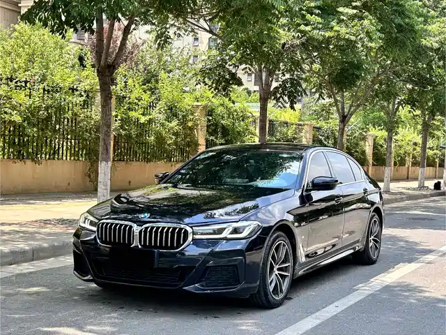 BMW 5 SERIES