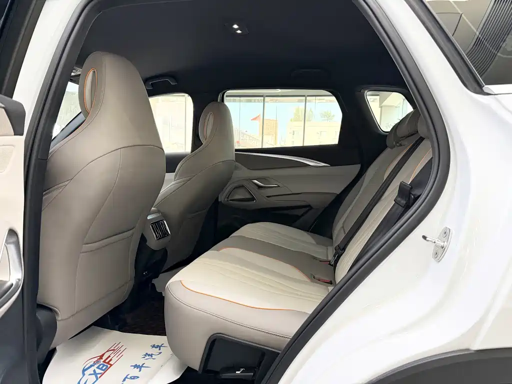 BYD Pro New Energy — миниатюра 6