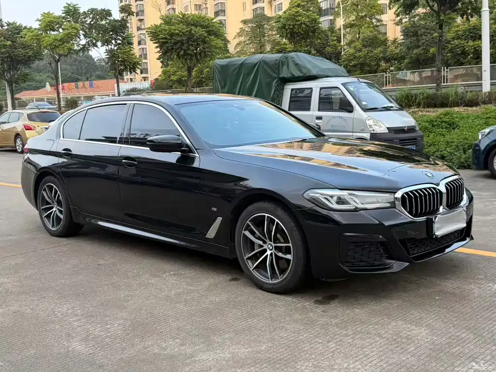 BMW 5 Series New Energy — миниатюра 4