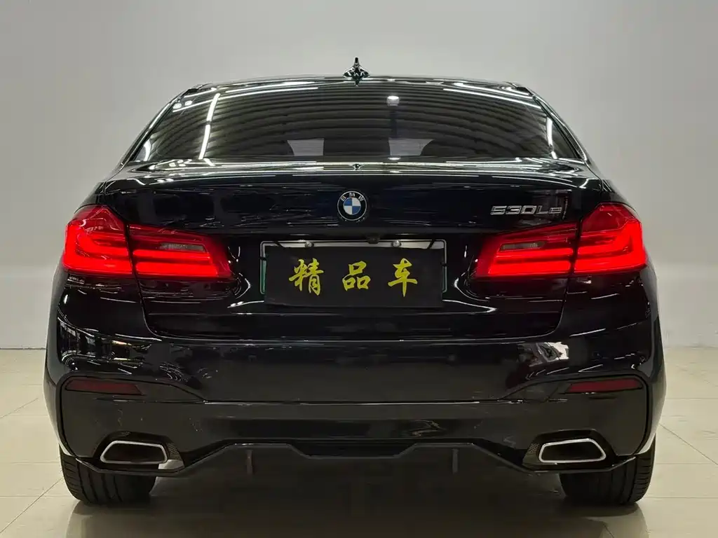 BMW 5 Series New Energy — миниатюра 8