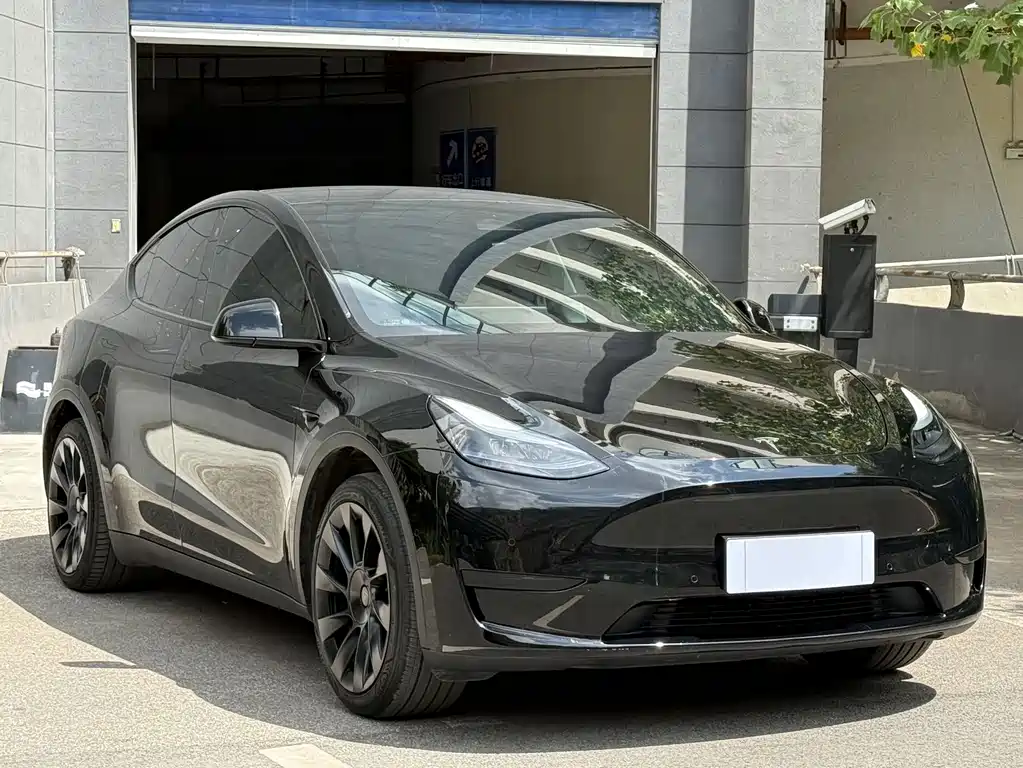 Tesla Model Y — миниатюра 3