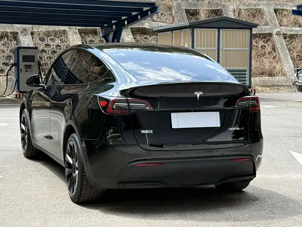 Tesla Model Y — миниатюра 11