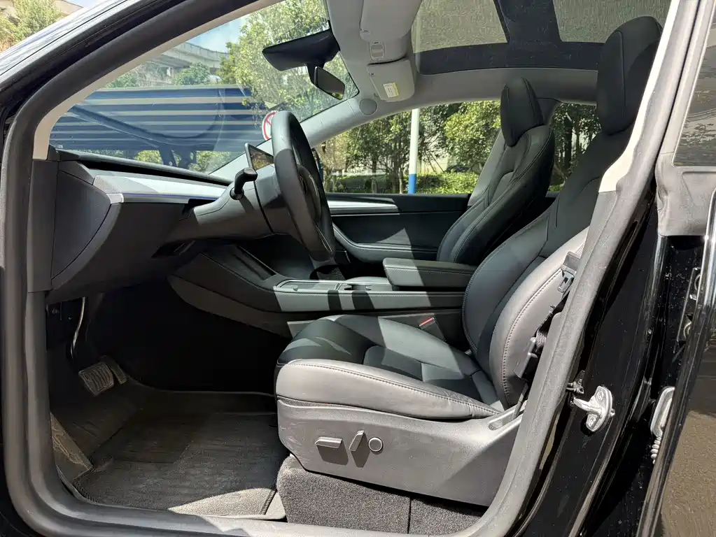 Tesla Model Y — миниатюра 5