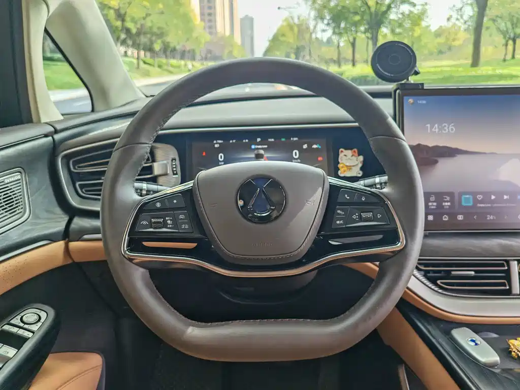 Denza Denza D9 — миниатюра 11
