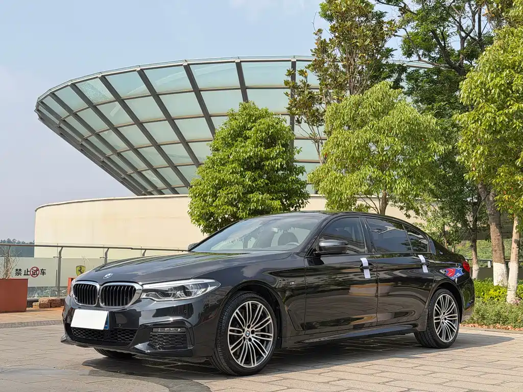 BMW 5 Series 2019