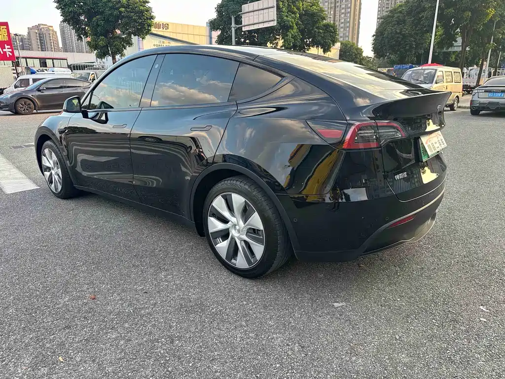Tesla Model Y — миниатюра 7