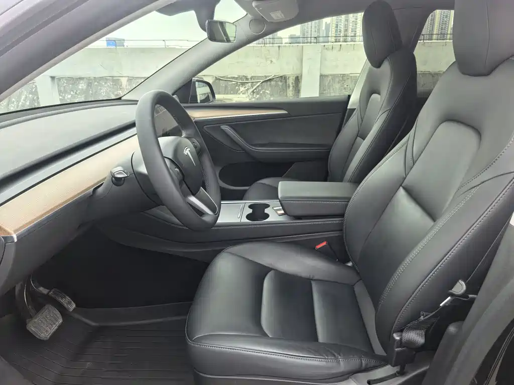 Tesla Model Y — миниатюра 10