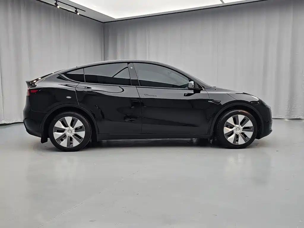 Tesla Model Y — миниатюра 4