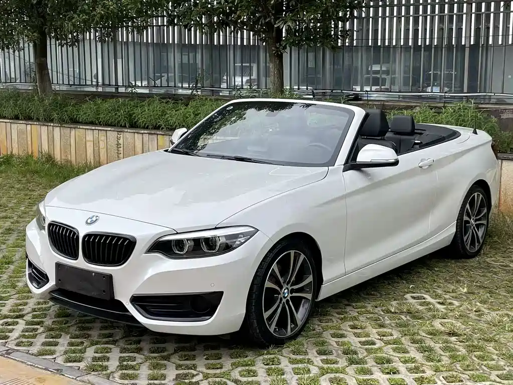 BMW 2 SERIES