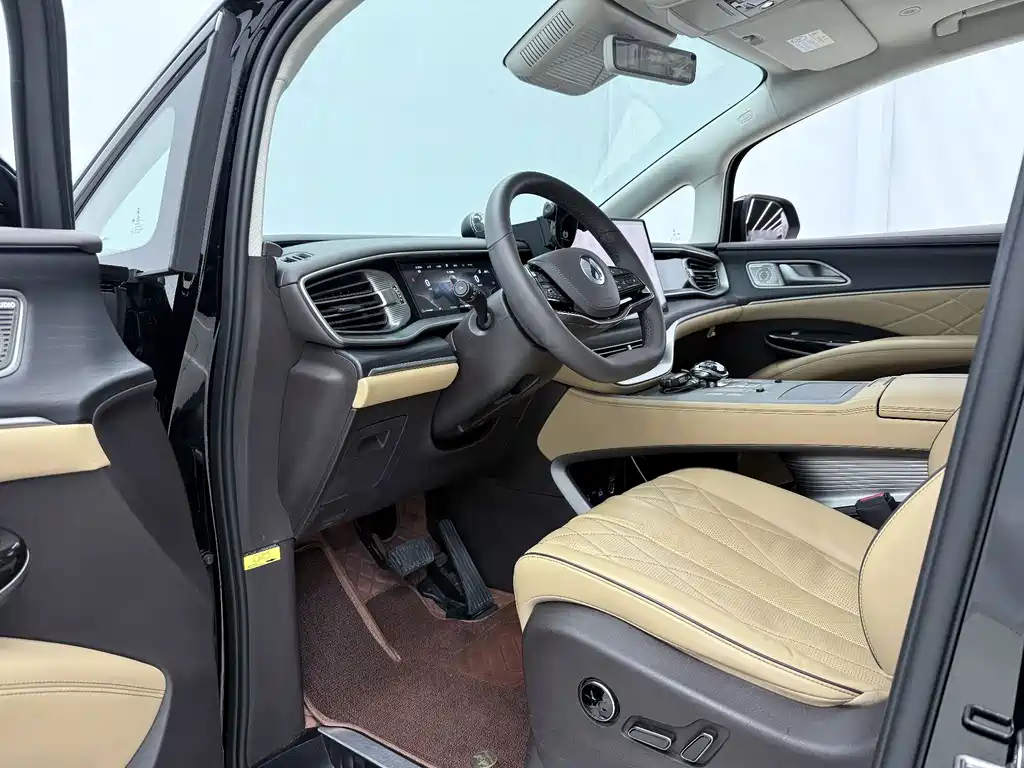 Denza Denza D9 — миниатюра 4