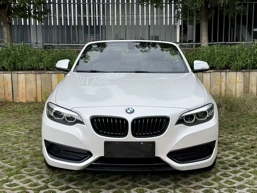 BMW 2 SERIES