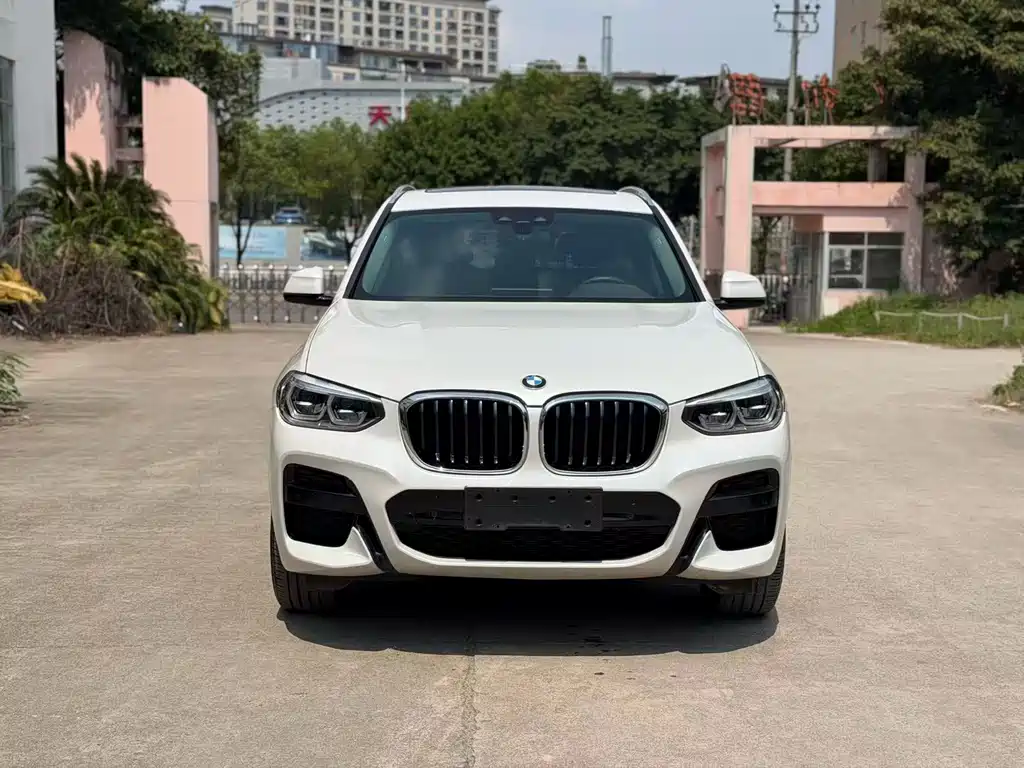 BMW X3 — миниатюра 2