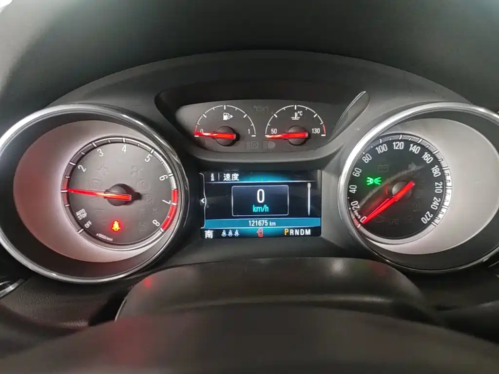 Buick Regal — миниатюра 12
