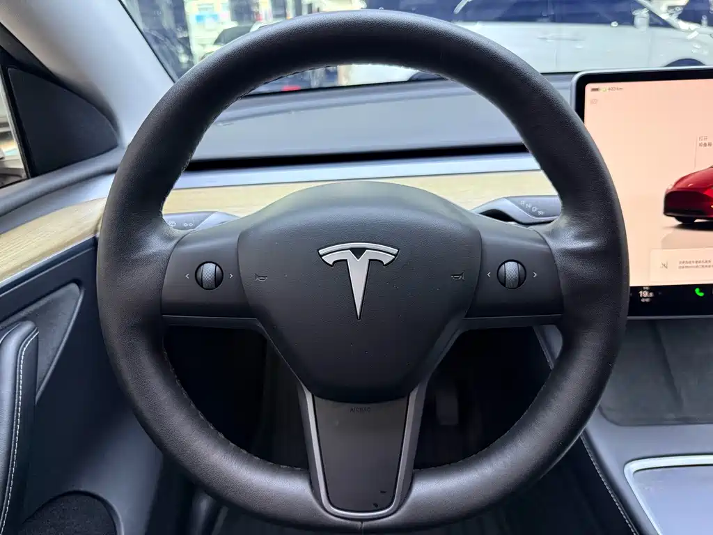 Tesla Model Y — миниатюра 10