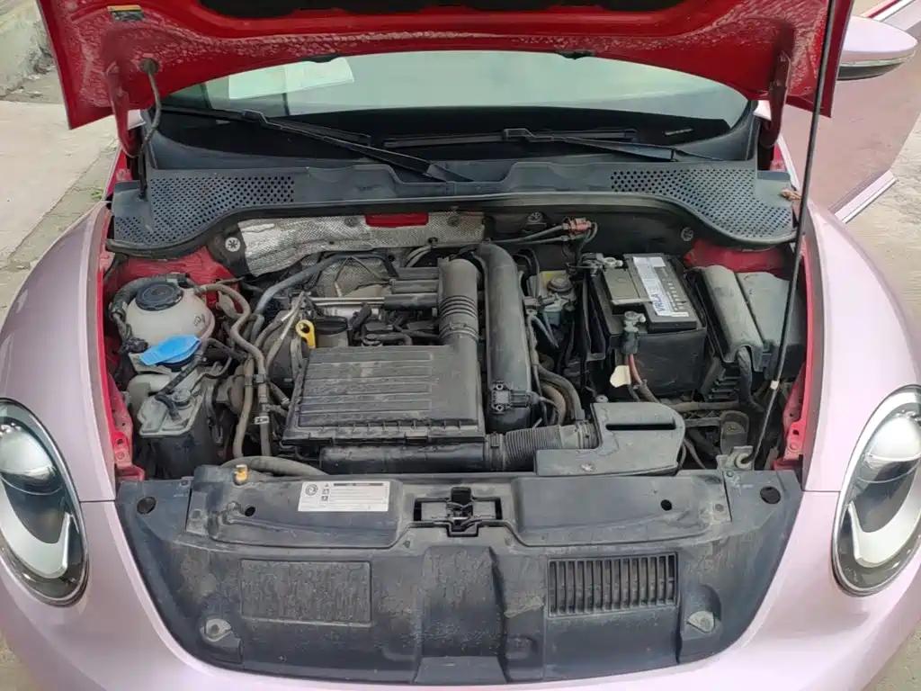 Volkswagen Beetle — миниатюра 20