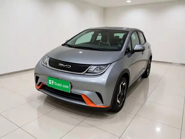 2023 BYD Dolphin