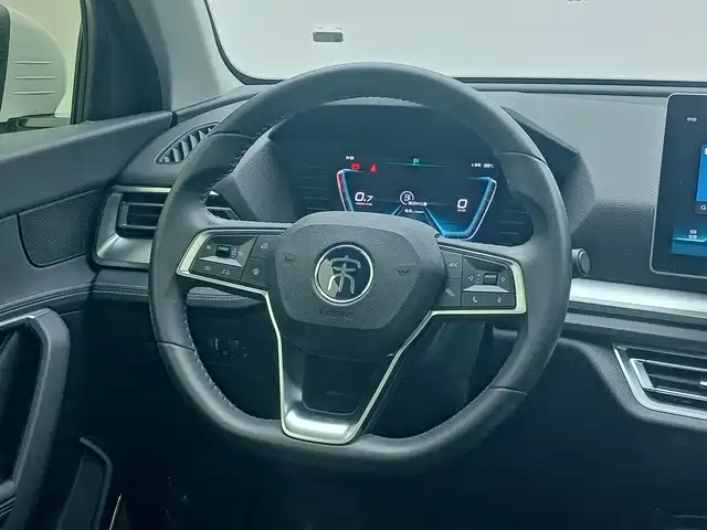 BYD Pro — миниатюра 7