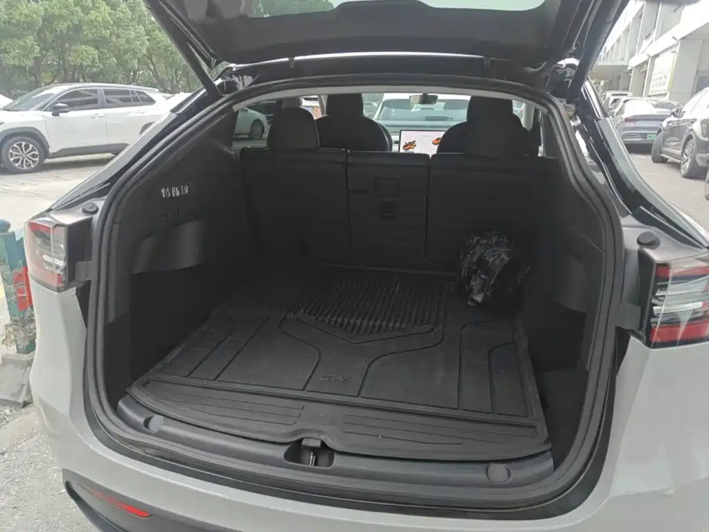 Tesla Model Y — миниатюра 10