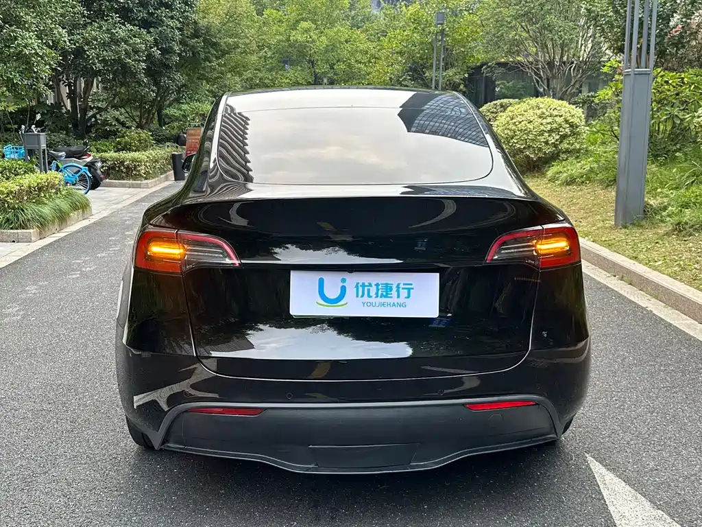 Tesla Model Y — миниатюра 5