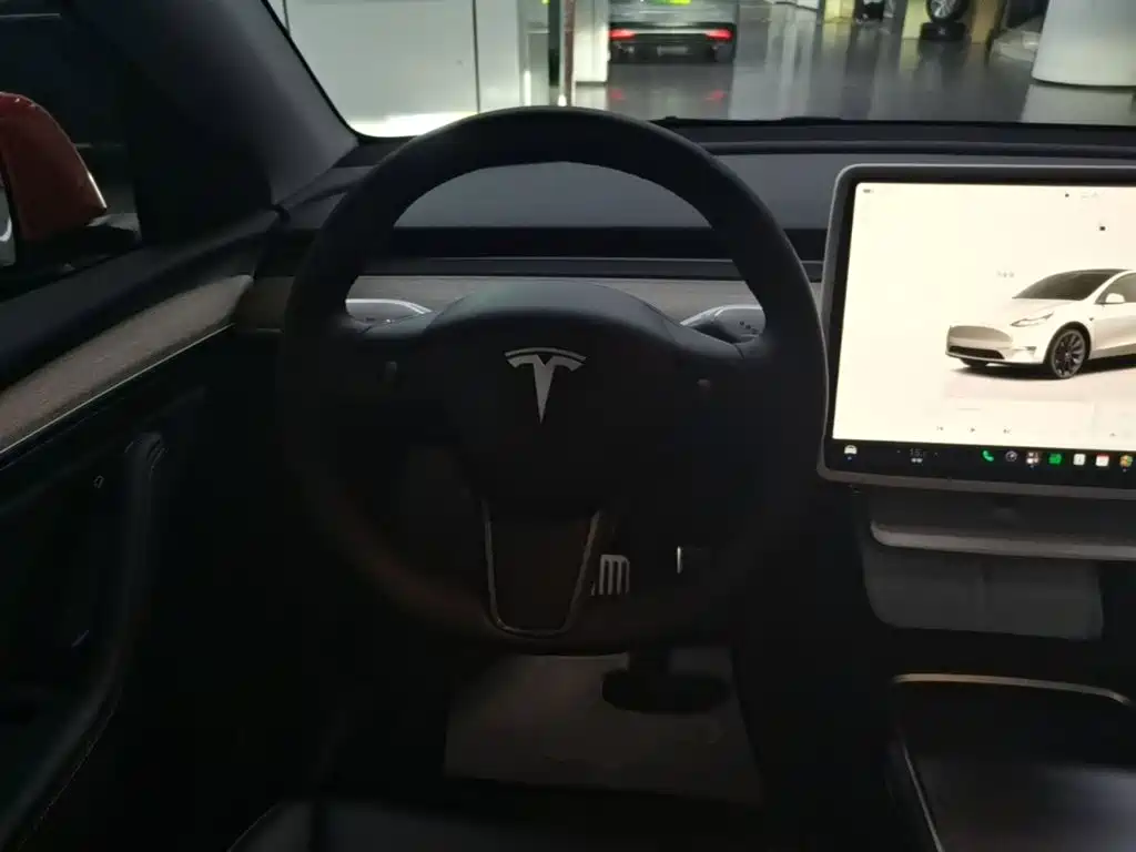 Tesla Model Y — миниатюра 11