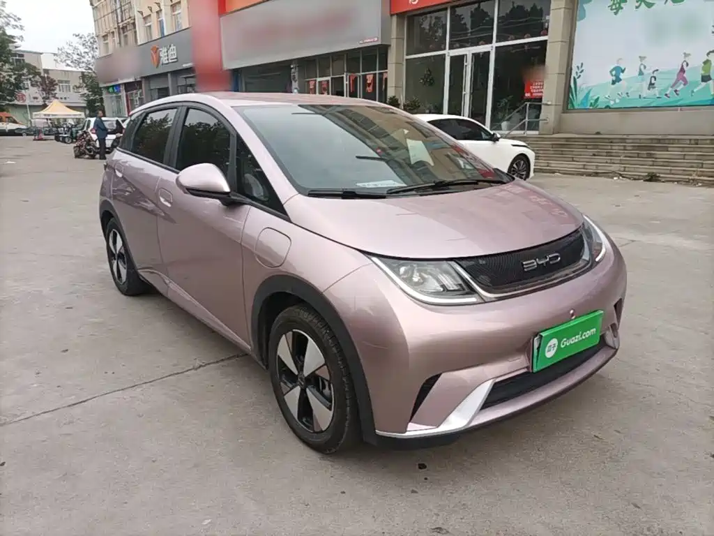BYD Dolphin — миниатюра 4