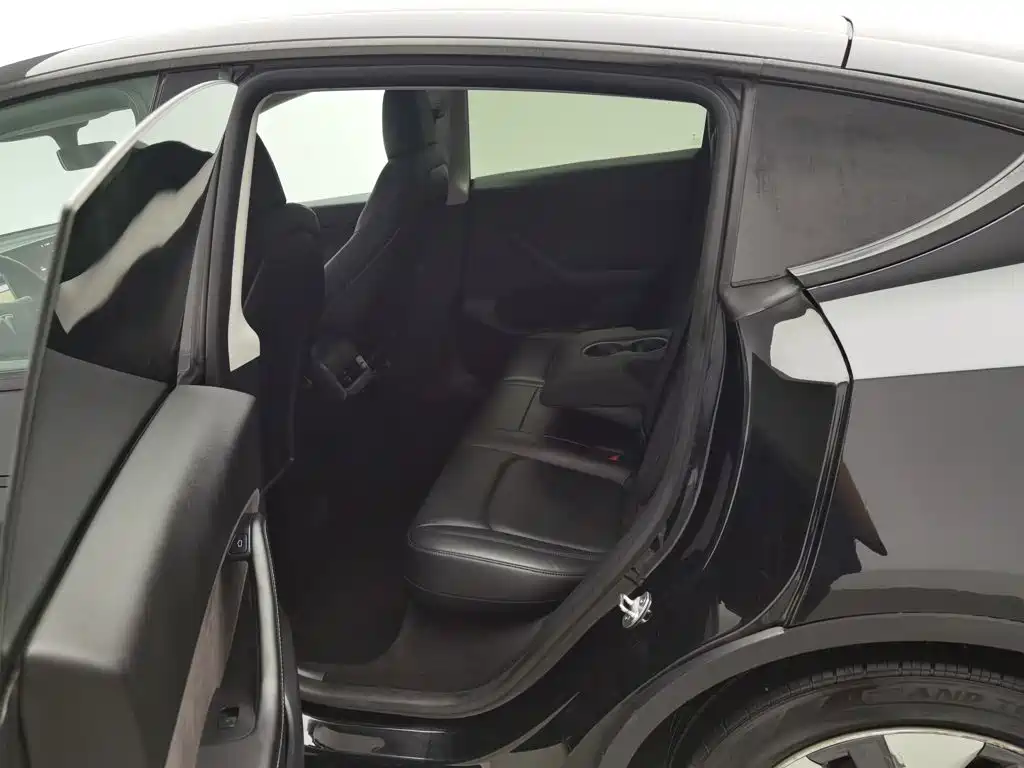 Tesla Model Y — миниатюра 15
