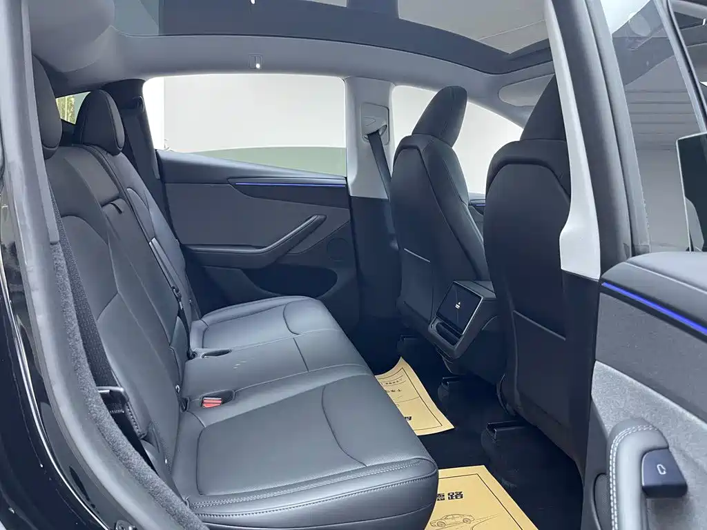 Tesla Model Y — миниатюра 13