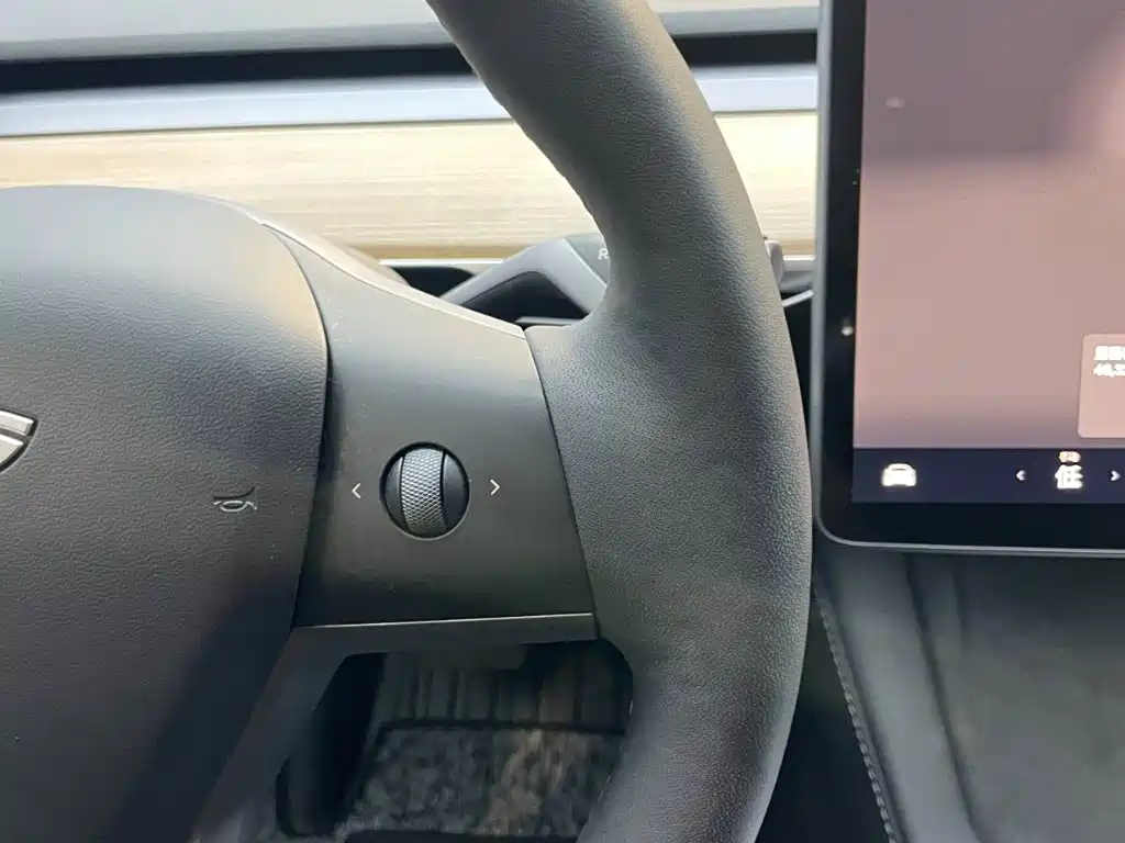 Tesla Model 3 — миниатюра 15