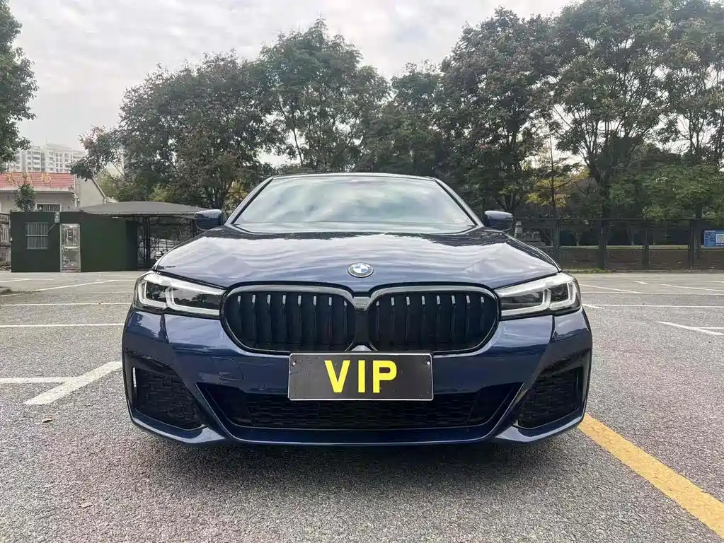 BMW 5 Series (Import) 2021
