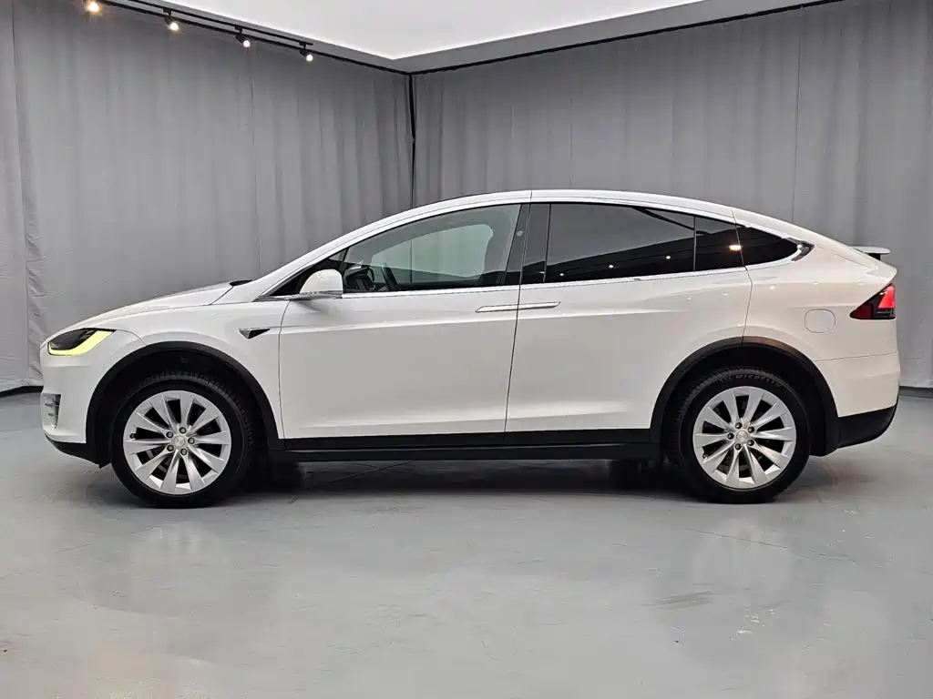 Tesla Model X — миниатюра 4