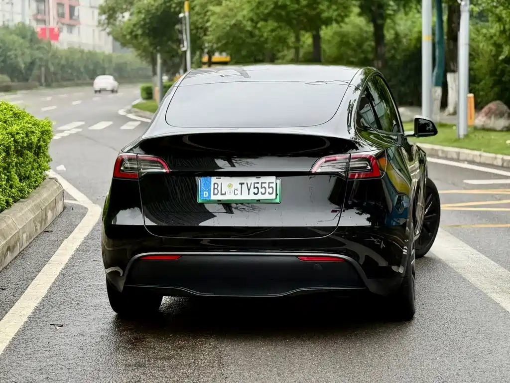 Tesla Model Y — миниатюра 5