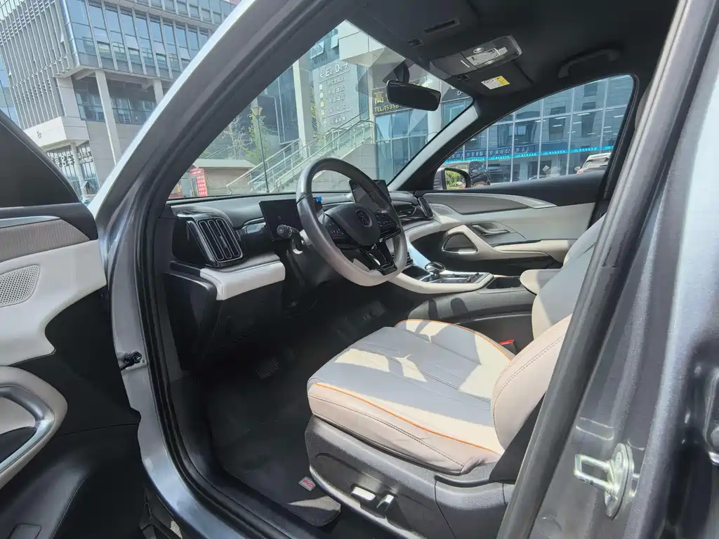 BYD Pro New Energy — миниатюра 8