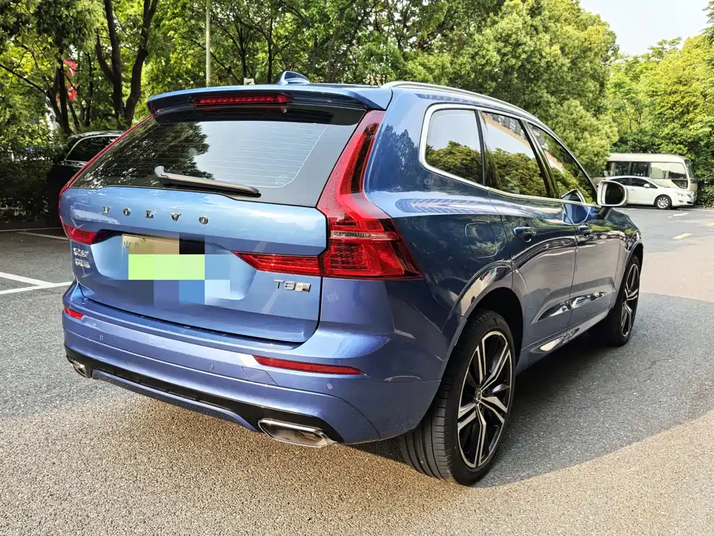 Volvo XC60 2019 T8 E Luxury VI