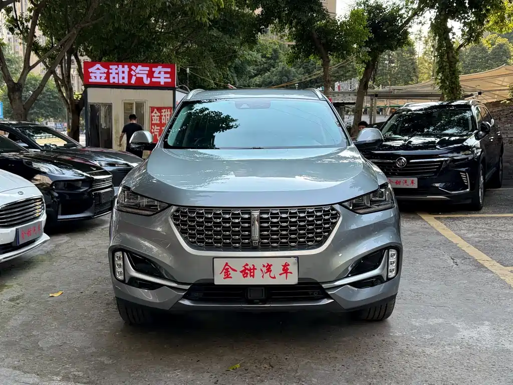 Wey Wey VV6 — миниатюра 2