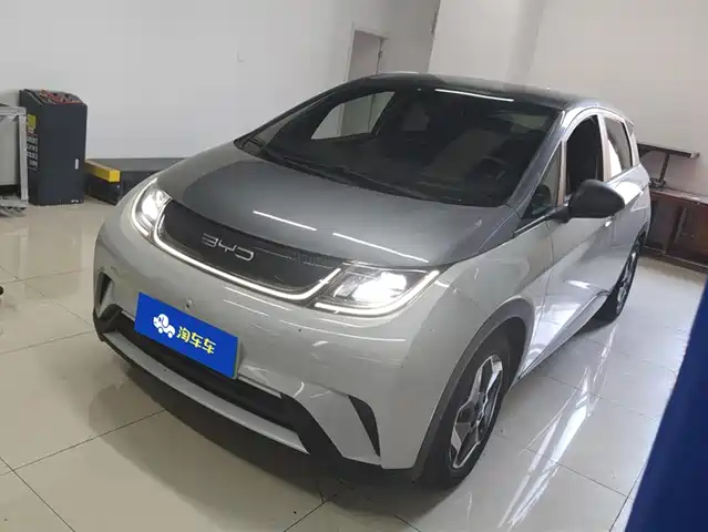 2022 BYD Dolphin