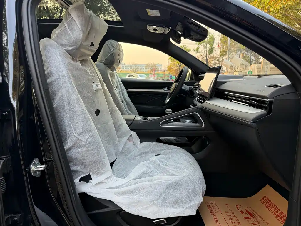 GEELY AUTOMOBILE XINGRUI