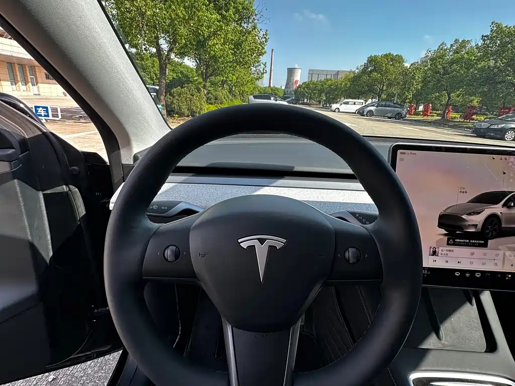 Tesla Model Y — миниатюра 10