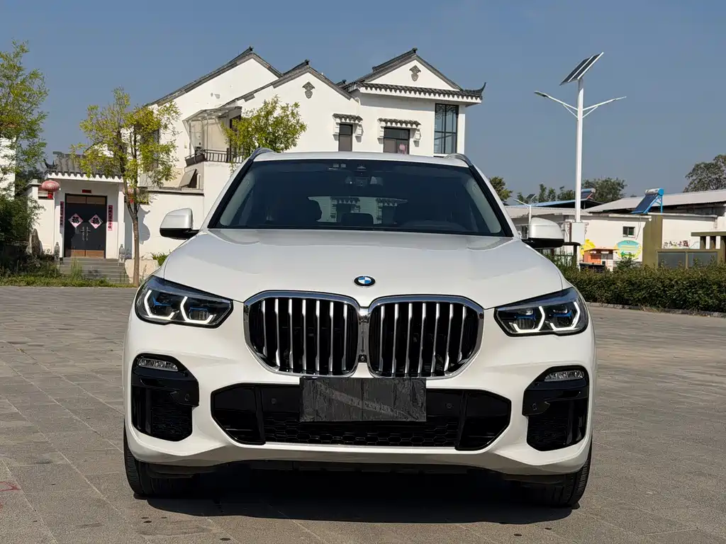 BMW X5 (Import) — миниатюра 2