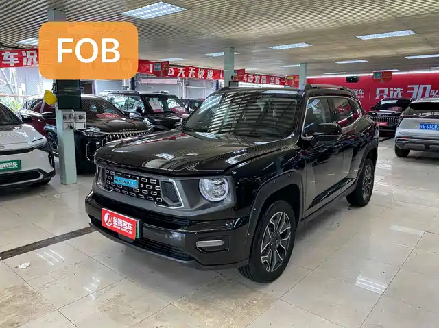 HAVAL  SECOND GENERATION BIG DOG NEW ENERGY 2024