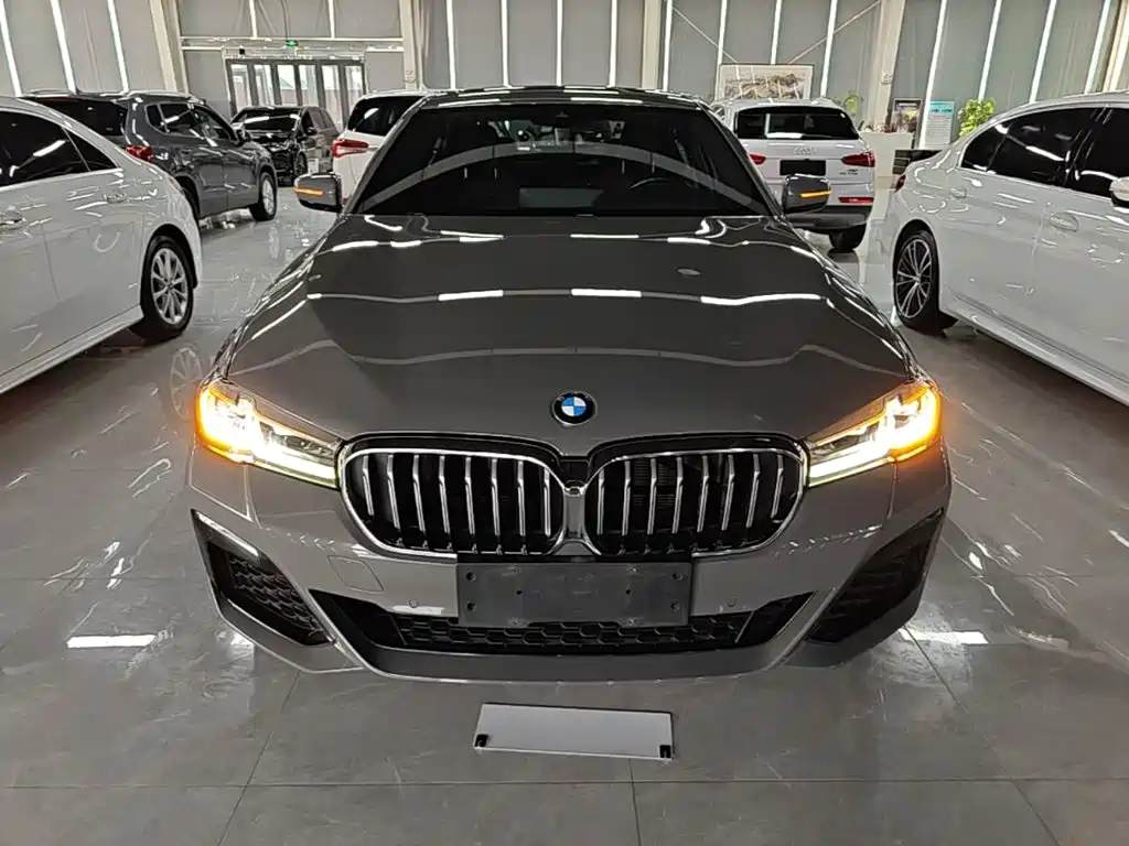 BMW 5 Series (Import) — миниатюра 3