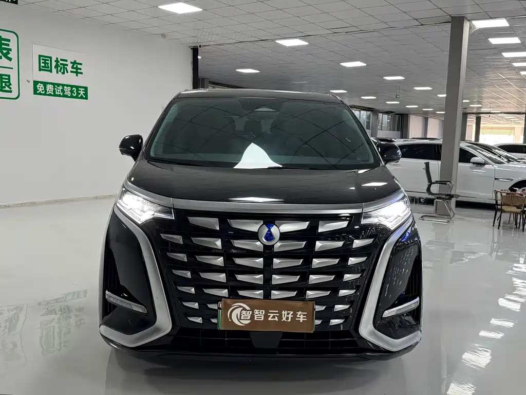Denza Denza D9 — миниатюра 2