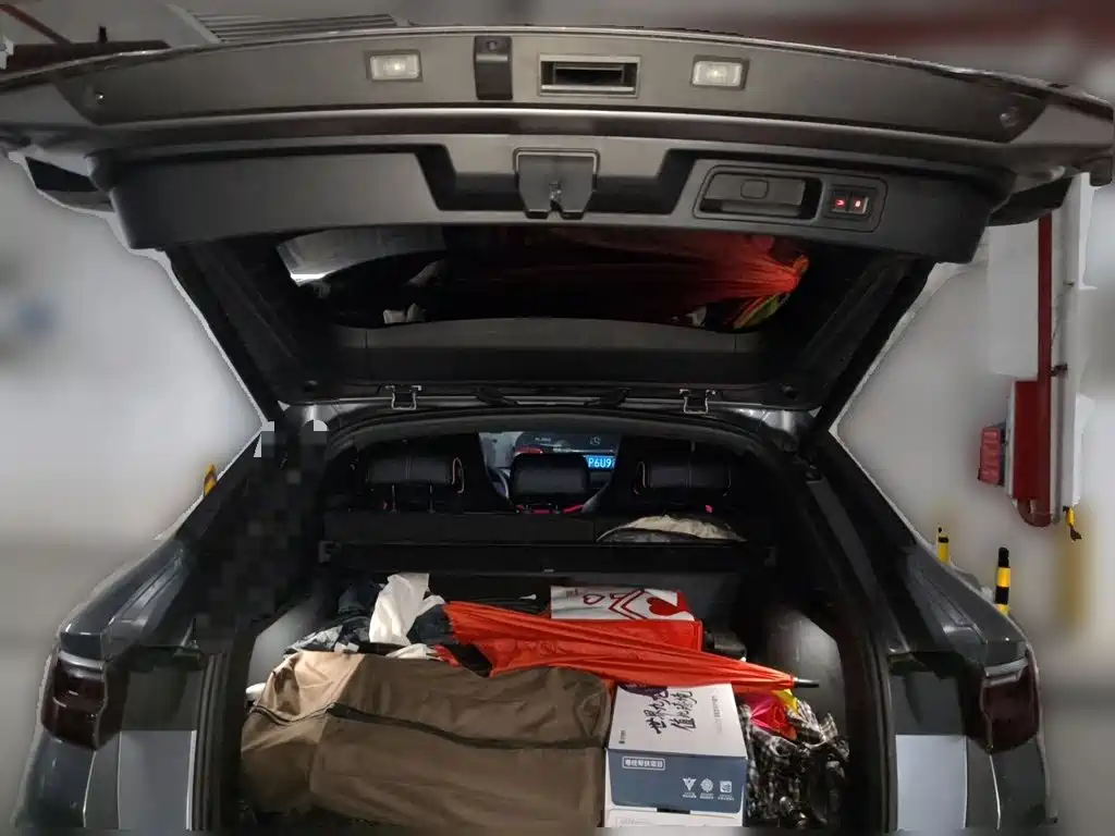 BYD PLUS New Energy — миниатюра 20