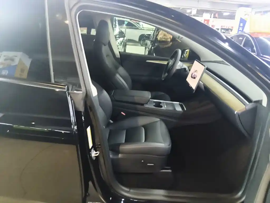 Tesla Model Y — миниатюра 25
